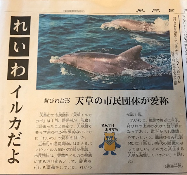 天草の大海原とイルカ